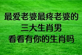 最爱老婆最疼老婆的三大生肖男，看看有你的生肖吗？视频封面