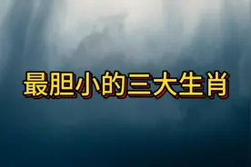 最胆小的三大生肖视频封面