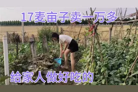 17亩麦子卖一万多，2024湖北小麦亩产千斤，农村媳妇给家人做好吃视频封面