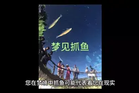 梦到自己抓鱼视频封面