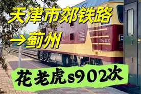天津到蓟州有多方便？s902次火车之旅，难得一见的东风花老虎视频封面