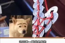 鬼的声音视频封面