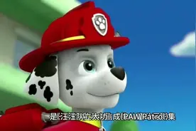 动画片《汪汪队立大功》视频封面