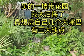 买的一楼带花园，我太后悔了，真想扇自己几个大嘴巴，有三大缺点视频封面
