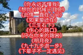 精选乔丽娜十首经典【催泪情歌】，唱得撕心裂肺，听哭多少痴情人