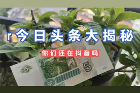 #头条双星激励计划  抖音起号开始了，一键抖音同步今日头条。视频封面