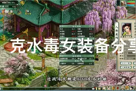 五开克水双盘队伍装备搭配及属性分享：毒女装备分享