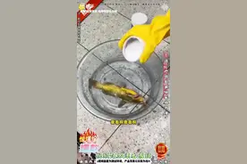 有需要下水道疏通的可以联系我，电话13949350712视频封面