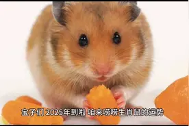 2025年生肖鼠：时来运转，福运旺旺，家有鼠宝的快出门迎接好运！视频封面