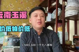 云南最适合养老城市玉溪，房子堪比鹤岗白菜价，退休金4000随便花视频封面