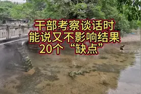 干部考察谈话时，能说又不影响结果
20个“缺点”视频封面