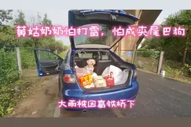 大雨被困高铁桥下视频封面