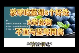 秋季吃蓝莓的8个好处 3类食物不宜与蓝莓同食视频封面