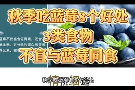 秋季吃蓝莓的8个好处 3类食物不宜与蓝莓同食视频封面