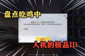 盘点吃鸡中 人机的极品ID！视频封面