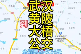 武汉到孝感大梧的公交线路来了，全程票价仅24元，去大梧方便了视频封面