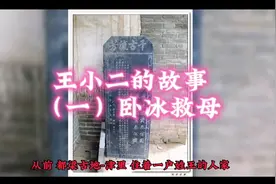卧冰救母 王小二的故事 民间孝道视频封面