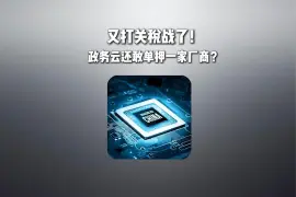 都这会儿了，政务云还敢单押一家厂商?视频封面