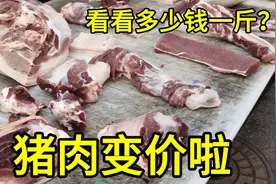 辽宁猪肉又变价啦，8月25日大家看看多少钱一斤？大家感觉便宜吗视频封面