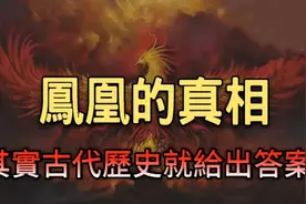 "凤舞九天：隐藏在历史尘埃中的凤凰传说，近代目击事件频繁发生视频封面