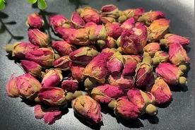 玫瑰花这样加水煮一煮，作用太厉害了，知道的人不多，赶紧学一学