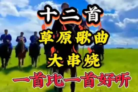 十二首草原歌曲大串烧一首比一首唱的好听，百听不厌