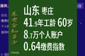 山东枣庄，工龄41.9年，个人账户8.7万，60岁退休养老金计算视频封面