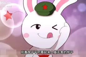 各种动物对应国家名字的含义