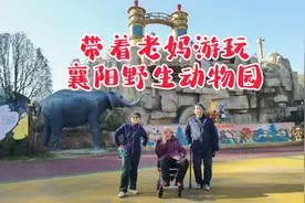 带老妈一起逛动物园，珍惜陪伴的时光视频封面