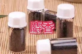 神农本草-倪师说麝香出奇迹视频封面