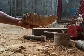 竹根果盘制作过程，小果盘适合放瓜子，花生，坚果类小吃零食视频封面