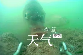 夏钓天气改进版，“体感温度”原来很有用，看一眼天气预报就搞定