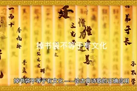 掉书袋不等于有文化视频封面