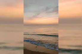 中年有爱，是理解与陪伴，也是责任和担当。视频封面