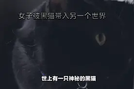 女子被黑猫带入另一个世界视频封面