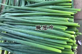 腌点秋天的大葱叶，好吃又下饭