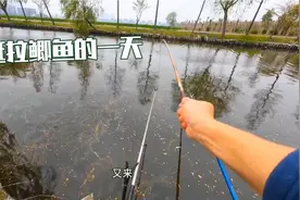 钓友说昨天这里钓了20斤鲫鱼，今天来果然鱼多两根竿根本忙不过来视频封面