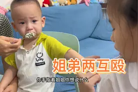 2岁儿子儿子爱动手打姐姐，让姐姐反击两人互殴，谁也不谦让视频封面