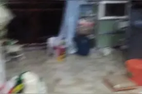 家人们，家里面进大螳螂了，怎么办？（等待说法）