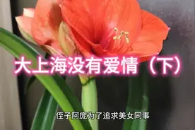 侄子为追求爱情，抛弃济南稳定工作去上海发展，错失爱情但很幸运视频封面