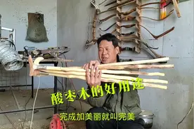 酸枣木的好用途，做几支达摩杖。视频封面