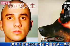 日本一个人斥资200万把自己整容成了一条狗其中原因尽是……视频封面