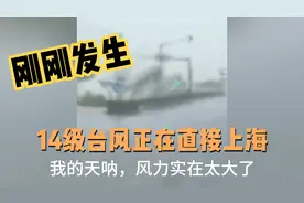 我的天呐，台风正在直击上海，铁制的交通标杆都被吹倒了!愿平安