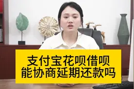 花呗借呗可以申请延期还款视频封面