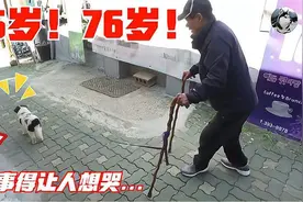 15岁狗狗，陪伴近80岁老人，相依为命互相照顾，太让人暖心了视频封面