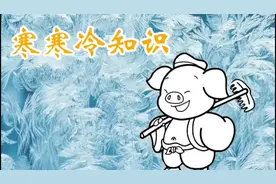 千叶豆腐和鱼豆腐都是豆腐吗？