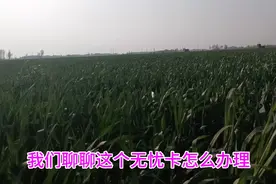 电信无忧卡每月5元月租，还能自己选号，发货速度很快视频封面