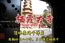南京栖霞寺 栖山风景区  六朝古都 南朝四百八十寺多少楼台烟雨中视频封面