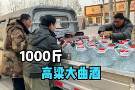 3000斤高粱酿出1000斤酒，现场接酒“这酒不错，纯正高粱大曲酒”视频封面