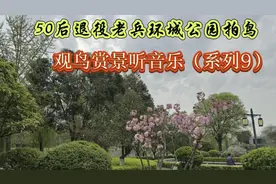 50后退役老兵环城公园拍鸟 观鸟赏景听音乐（系列9）